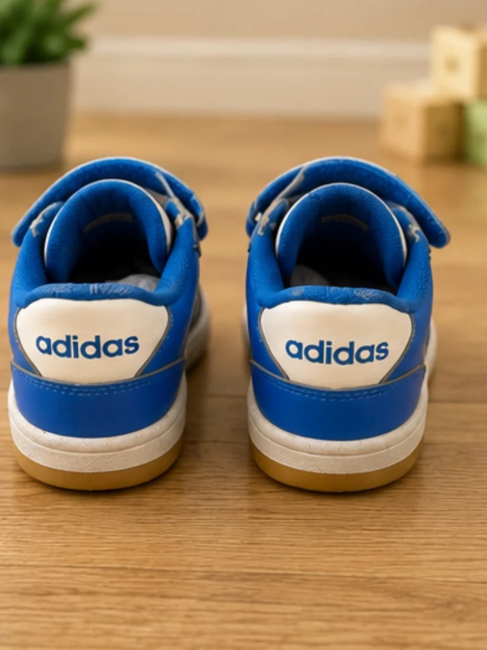 adidas classic sneakers